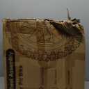 12'' Rear Wheel 80/100-12 3.00-12 Dirt Bike Tire and Inner Tube Assembly for 110cc 125cc SSR SR125 CRF110F CRF70 KLX110 KX65 PW80 TTR110 TTR90 YZ60 with Brake Rotor 428 41T Chain Sprocket