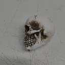 Skull Decor, Resin Realistic Skeleton Head Statue for Halloween, Fake Human Bone Skull Model for Halloween Decoration, Home, Party, Table, Bookshelf