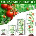 ZeeDix 2 Pack Heavy Duty Tomato Cages for Garden 60 Inches, Square Adjustable Tomato Trellis Cage Climbing Plant Support Trellis Plant Cages for Climbing Vegetables Flowers with 20Pcs Clips
