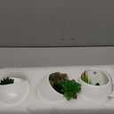 Mkono Wall Planter with Artificial Plants, Decorative Potted Fake Succulents Picks Assorted Faux Succulent in Modern Ceramic Hanging Plant Pot Vase for Home Decor, Set of 3