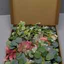 Waipfaru Flower Garland Decorations, 6.07Ft Pink Floral Rose Garland, Artificial Eucalyptus Greenery Vines with Flowers for Wedding Table Runner Centerpieces Backdrop Room Decor (Pink) (1 Pack)