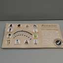 Volnamal Legging Organizer for Closet, 2 Pack Metal Yoga Pants Hangers w/10 Clips Holds 20 Leggings, Space Saving Hanging Closet Organizer w/Rubber Coated Closet Organizers and Storage, Black