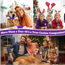 Kseroo 6-Pack Indestructible Dog Toys for Aggressive Chewers: Bacon Flavored Hard Nylon Bone Chew Toys, Tough Dog Chew Toys for Large Dogs, Dog Toys to Keep Them Busy for Medium Large Breed, Purple
