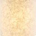 Aspen Creative 31237 Transitional Drum (Cylinder) Shaped Spider Construction Lamp Shade in Parchment, 8" Wide (8" x 8" x 8")