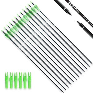 30Inch Carbon Arrow Practice Hunting Arrows with Removable Tips for Compound & Recurve Bow(Pack of 12) (Light Green White)