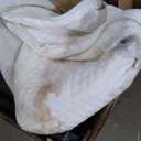 Amazon Basics Smart Box Spring Bed Base, 7-Inch Height Mattress Foundation, Tool-Free Easy Assembly, King, 79" L x 75.5" W x 7" H, White