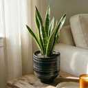 HERDUK Ceramic Pots with Drainage Hole, Indoor Outdoor Planters, 6.7 Inch Flower Pots for Cactus, Aloe Vera, Fern