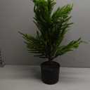 Nearly Natural 2ft. Norfolk Island Pine Natural Look Artificial Tree in Decorative Planter