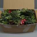 13 Inch Christmas Norfolk Pine Branches with Red Berry in a White Ceramic Pot,Xmas Artificial Pine Branches with Lights Cones for Holiday Home Indoor Christmas Picks Table Decor40pcs