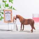 Horse Gifts for Women, Embrace The Horse Hand Painted Resin Sculpture, for Cowgirls and Equestrians
