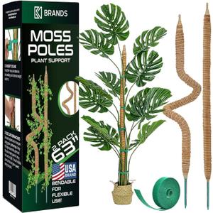 2 Pack 63'' Bendable Moss Pole Monstera Plant Support for Large Climbing Indoor Plants - Stakes for Potted Climbers - Tall Sticks Indoor Trellis for Houseplants - Accessories for Monstera Pot