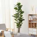 FLOWORLD Artificial Rubber Tree Plant 6ft Tall Faux Ficus Tree Potted Fake Tropical Plants Decorative House Plants Large Floor Artificial Trees for Home Office Decor, Without The Pot