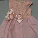 ASENKU Dog Dress Pet Wedding Dress Princess Lace Puppy Birthday Party Outfit Formal Apparel Girl for Medium LargeDogs Cats XL, Pink
