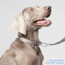 Light Alloy Dog Collar Pro, Soft Lightweight Dog Collar with Metal Buckle Quick Release Adjustable Comfortable Nylon Collar for Small Dogs Walking Training Running (Linen, S)