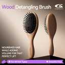 Wooden Paddle Hair Brush for Women & Men, Detangler Hairbrush with Ergonomic Handle & Air Cushion, Scalp Massager Suitable for Curly/Fine/Thick Hair, Wet & Dry Styling and Detangling Brushes