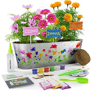 Dan&Darci Paint & Plant Flower Growing Kit for Kids - Gift Ideas Age 5-12 Year Old Girl - Birthday Crafts Gifts for Girls & Boys, Fun Gardening Kits, Art Projects