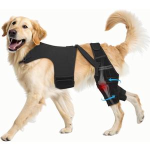 Dog Knee Brace for Torn ACL Hind Leg, Dog Leg Brace Helps Reduce Pain from Torn CCL, Luxating Patella, Ligament Injuries, Hip Dysplasia, L