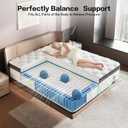 Queen Mattress, 12 Inch, Hybrid Mattress in a Box, Medium Firm