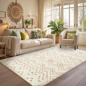 Area Rug Living Room Rugs Large Soft Boho Farmhouse Indoor Floor Rug (Beige, 5'x7')