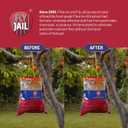 1 Fly Jail X Large Bag - Outdoor Disposable Fly Trap | Pre-Baited with Flies Inn Attractant | Outdoor Fly Catcher; RECYCABLE (2 Pack, 1)