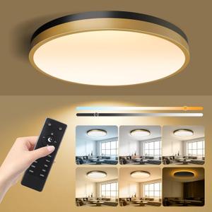 13 Inch Flush Mount Ceiling Light with Remote Control & Night Light, 5CCT Dimmable Ceiling Light Fixture, 25W 2500LM 2700K-6500K Adjustable LED Ceiling Lights for Bedroom Kitchen Living Room (Black Gold)