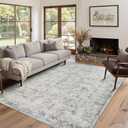 Rugxara Area Rugs for Living Room Bedroom, Washable Rug, Grey Vintage Abstract Boho Rug, Non Slip & Low Pile Wool Carpet for Indoor Dining Room, Farmhouse, Kids Room and Office(Grey 4x6ft)