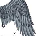 Himine Non-Woven Fabric Festive Party Angel Wings Suitable for Child Decorative Wings (Black)