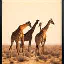 Mxtallup 22x24 Picture Frames Solid Wood 22x24 Poster Frame for Wall Photo Frames Family Black (T22B2224)