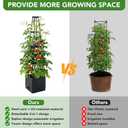 2 Pack Raised Garden Bed Planter Box with Trellis, 57'' Self Watering Tomato Planters for Climbing Plants, Tomato Cage Trellis for Vegetables & Vine Flowers Indoor Outdoor Patio