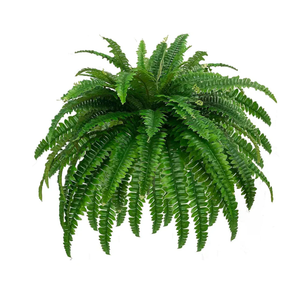 GYERB Large Fake Boston Ferns, 88 Branches Artificial Ferns, Faux Fern Plants for Home, Office, Garden Indoor Outdoor Decoration(48 inch,1pack)