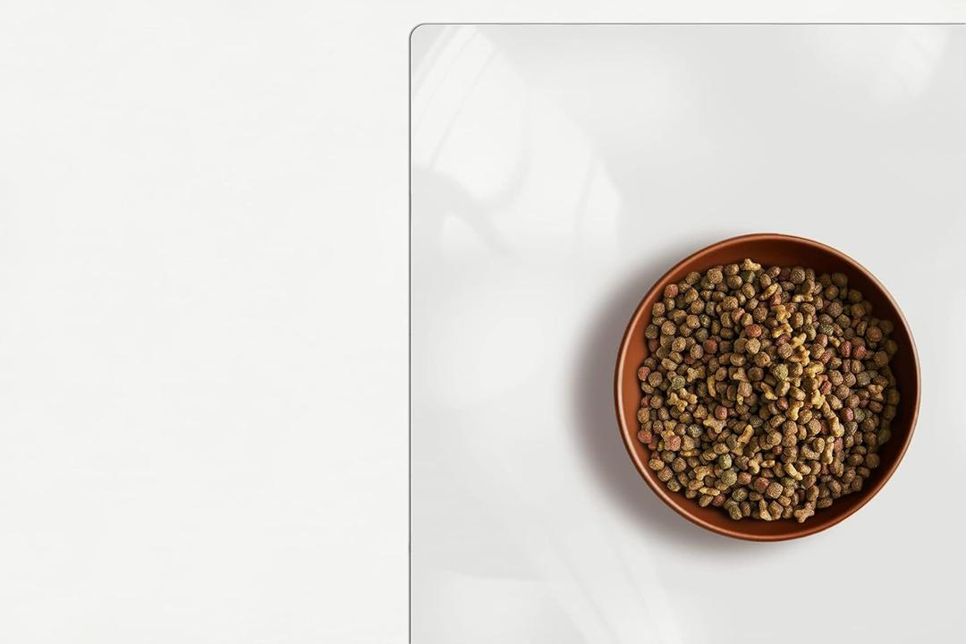 Clear Pet Bowl Mat, USA Made, Safe, Waterproof, 18 x 24 Inch, 2mm Thick Smooth Vinyl, Floor Protection, Dog Cage Mat, Under Aquarium Mat (Crystal)