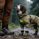 Dog Shoes for Hot Pavement - Comfortable Paw Protection for Medium & Large Dogs, Adjustable Strap & Non-Slip, Easy-Clean, Outdoor Sports Boots, Dog Booties for Summer Rain (Green, XL)