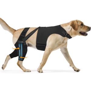 Dog Knee Brace for Torn Acl Hind Leg, Adjustable for Back Leg with 4 Stabilizers, Hip Support to Reduces Pain, Ligament Injuries & Luxating Patella for Dogs,(Black-L)