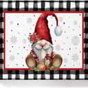 Savannan DIY Paint by Numbers, Christmas Gnome Poinsettia Snowflake Colored Ball Oil Lamp Winter Red White Framed Canvas Acrylic Painting Kit Drawing Paintwork for Adults Kids Beginner, 20"x16"