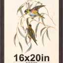 16x20 Frames as Poster Frames, 1.37-In Wide MDF Frame with Plexiglass, 16 x 20 Picture Frames for Wall, Walnut Brown