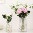 Ribbed Flower Vases Set of 2, Clear Vases for Flowers, Flower Vase for Bouquet, Modern Ribbed Glass Vase for Living Room, Bedroom, Dining Table, Office, Wedding, Centerpieces (Large+Medium)