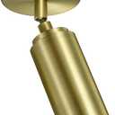 Brass Ceiling Spotlight, Hardwired LED Ceiling Spot Lights, Flush Mounted Directional Ceiling Light, Indoor Spotlight Fixtures, Adjustable Monopoint Spot Lights for Living Room Dining Room