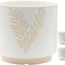 Napco Imports Indoor Outdoor Plant Succulent Herb Flower Pot 7 Inch Ceramic Leaf Cache