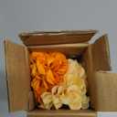 CISDUEO 3 Pcs Artificial Marigold Flowers Artificial Chrysanthemums Ball Flower Orange Silk Mums Flowers Spring Branches for Home Decor Floral Arrangement Table Centerpiece (Caramel, Orange, Yellow)