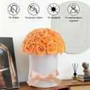 27 Forever Roses Dome in Luxury White Box, Eternal Real Roses Birthday Gifts for Women, Preserved Flowers for Delivery Prime, Anniversary, Valentine's Day, Mothers Day for Mom (Champagne)