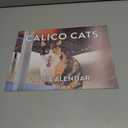 Calico Cat Calendar 2026 Monthly Wall Calender 12 Month | American Made In The USA