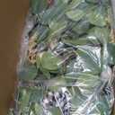 Fall Decor - Fall Garland - 7FT Autumn Eucalyptus Leaf Pumpkin Berry Fireplace Mantle Halloween Thanksgiving Harvest Farmhouse Decorations for Indoor Porch