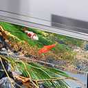 Floating Ceramic Fish Ornaments for Aquarium and Garden Pond Decor 2Pcs Stoneware Koi Fish Floating Sculpture 3.93 X 1.57 X 1.37 Inches