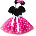Nileafes Girls Princess Mini Mouse Costume Toddler Birthday Party Fancy Dress Up (5-6 Years, Rose)