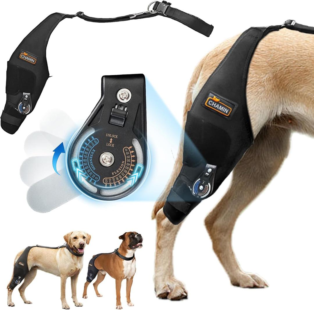 CHAMIN/RISURRY Adjustable Dog Knee Brace with Extra Collar, Support for Torn Acl Hind Leg, Tear Ligament, Osteoarthritis,Rear Leg Limp, Recovery After Surgery,et(Right Leg,L) (Large)