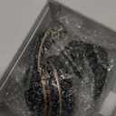 Bluetooth Headphones Over Ear, 6S Wireless Headphones Wired with 6 EQ Modes, 40 Hours Playtime Foldable HiFi Stereo Headset with Microphone, FM/TF for Cellphone/PC/Work (Black & Gold)