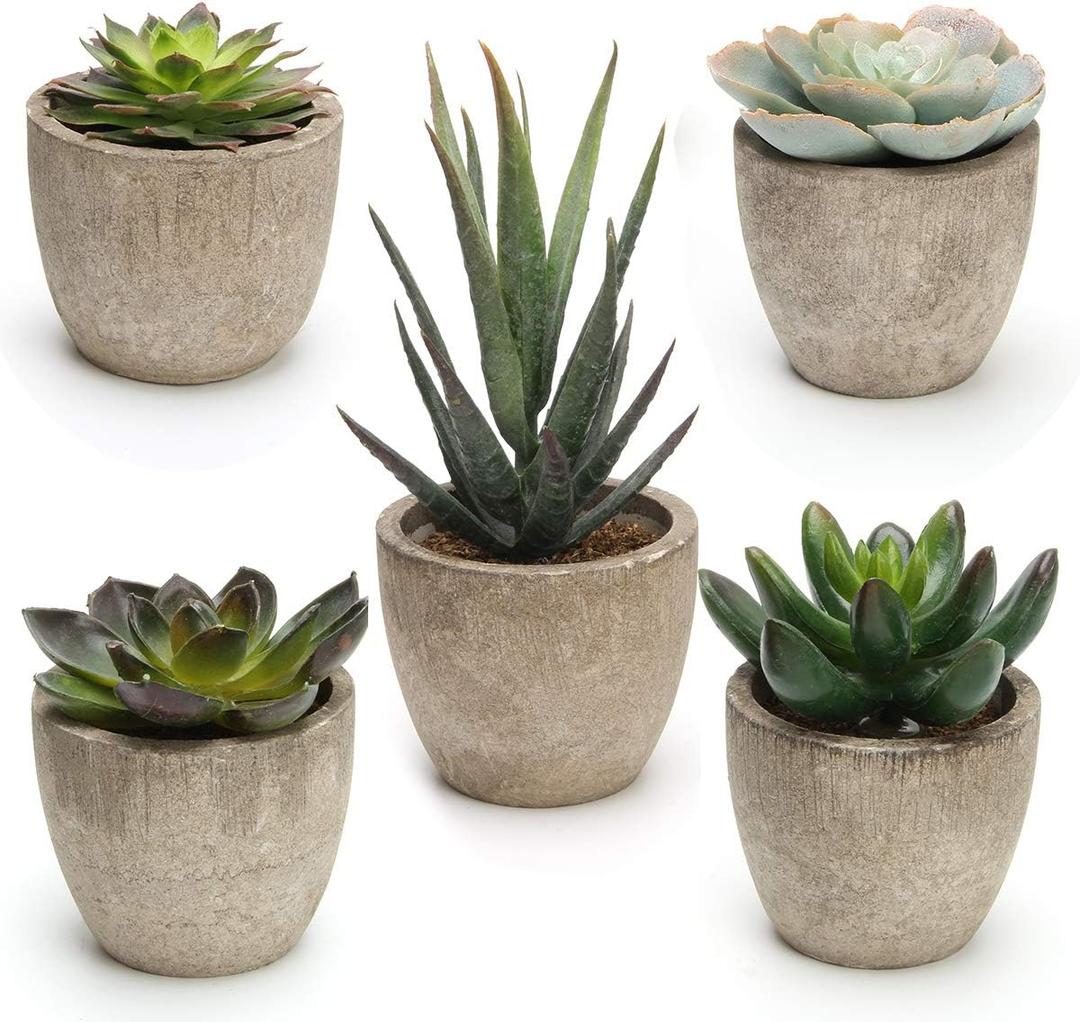 Coitak Artificial Succulent Plants Potted, Assorted Decorative Faux Succulent Potted Fake Cactus Cacti Plants with Pots, Set of 5 (Green)