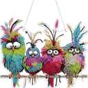 Diamond Art Hanging Kit for Adult,Special Shaped Rhinestone,DIY Acrylic 5D Diamond Art Painting Window Pendants Home Garden Wall Hanging Kits Hanging Ornament,Double Sided. (Bird)