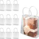 RJTLPNK Clear Gift Bags with Handles Bulk, 10PCS Medium L7.87xW3.14xH7.87Inches Holiday Gift Bags for valentines, Versatile 5 Senses Gift Bag for Women & Kids