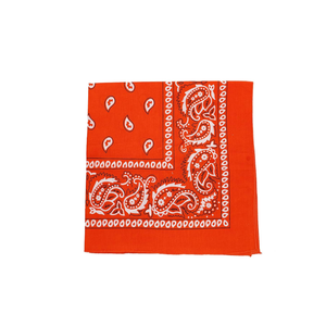 Large Paisley Bandana, 21x21 Inches, Pack Of 18